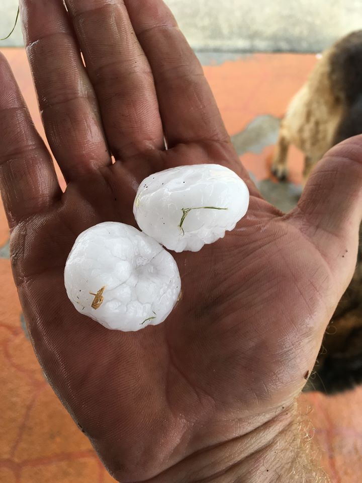 Golf ball sized hail from Tamborine