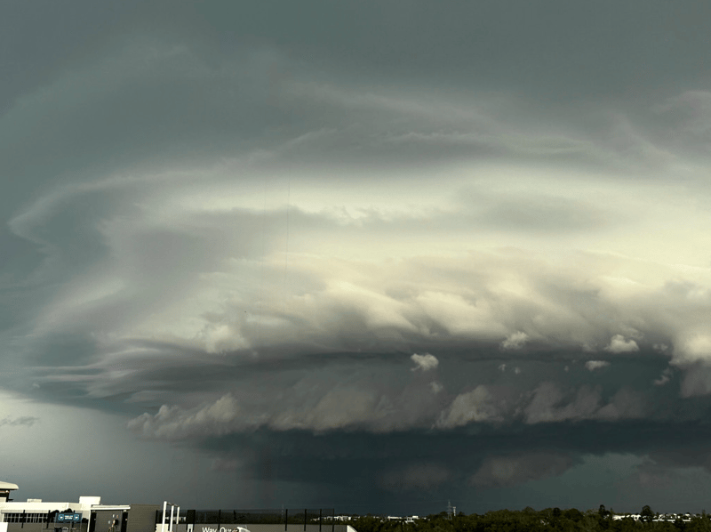 Brisbane Storm November 2025