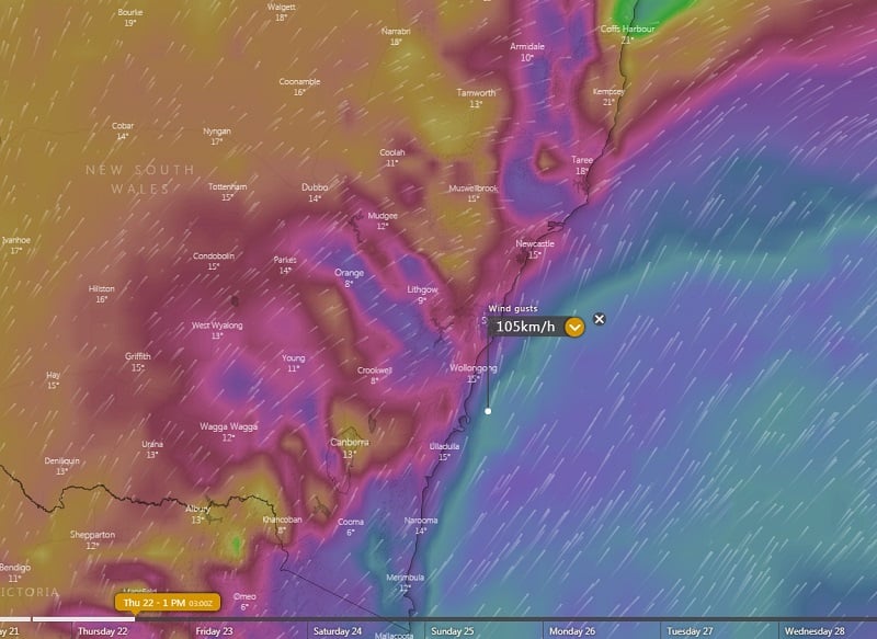 Forecast Wind gusts for the NSW coast tomorrow afternoon (Source: Windy)