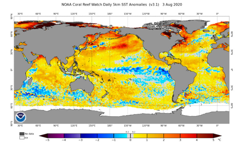Sea Surface anomoly, showing the cooling over the central and eastern Pacific Ocean