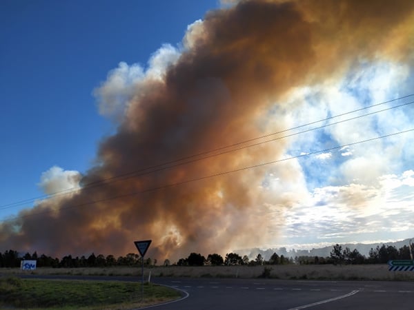 A bushfire burns out of control near Cabarita Beach in northern NSW