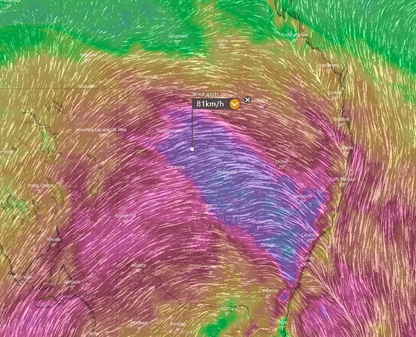 Wind gusts for 4pm Friday (Source: Windy.com)