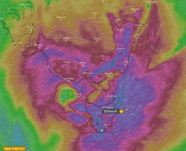 Wind gust forecast on 2pm 8th October, 2020 (Source: Windy)