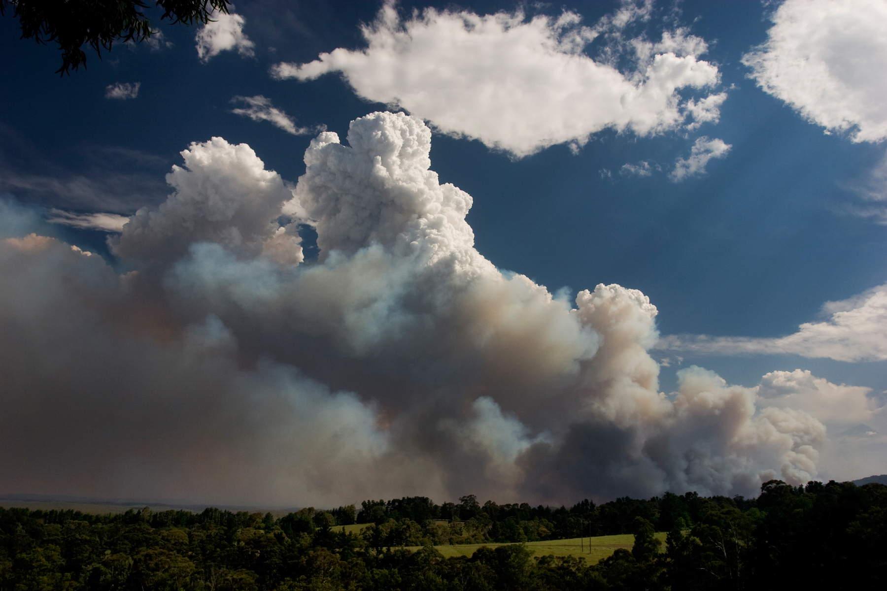 Businesses are alerted by Early Warning Network's alerts for Bushfires