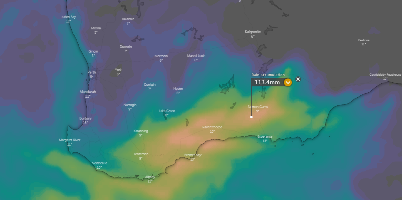 Rainfall accumulation across the next 5 days from the ECMWF Model (Source: Windy.com)