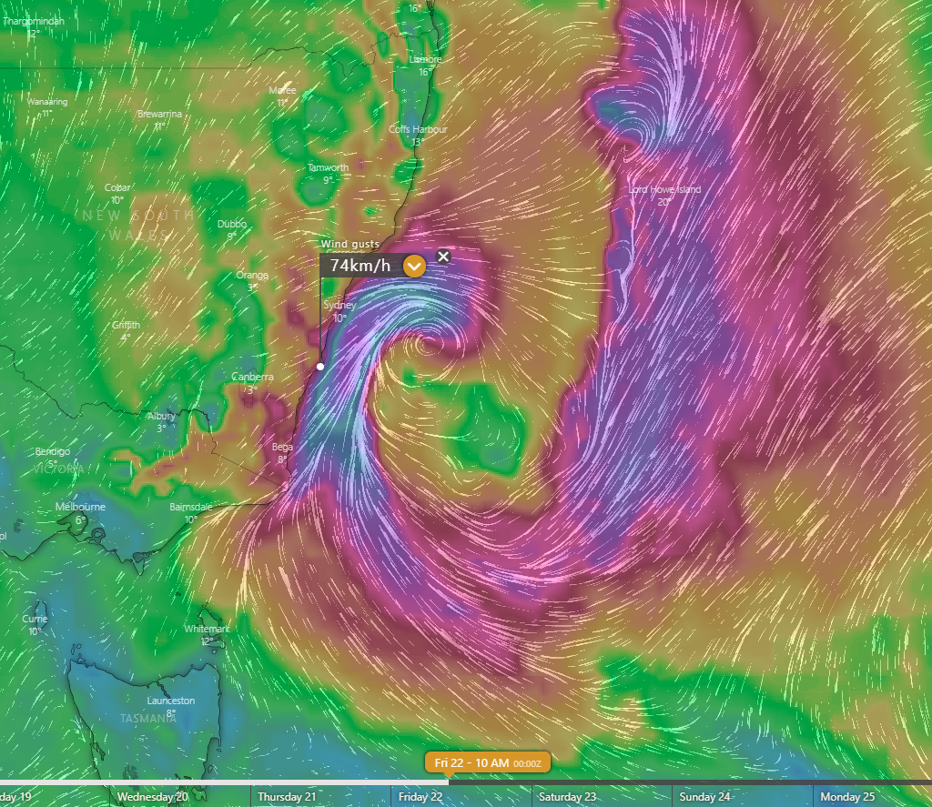 Wind gust speeds and direction forecast by the EC model for Friday morning (Source: Windy.com)