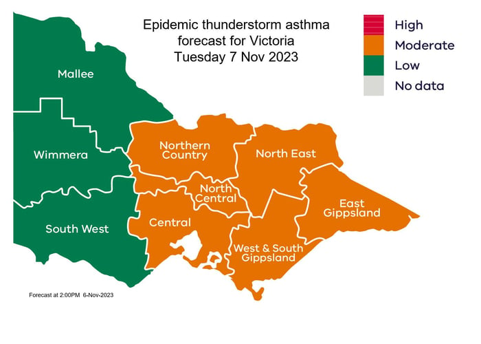 victoria epidemic asthma