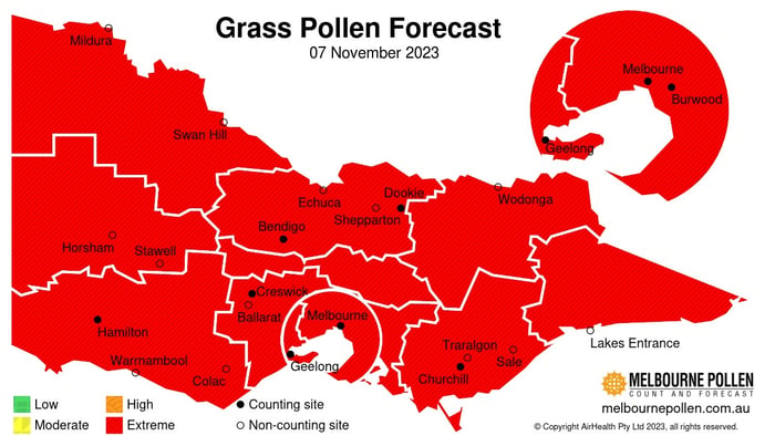 victoria grass pollen