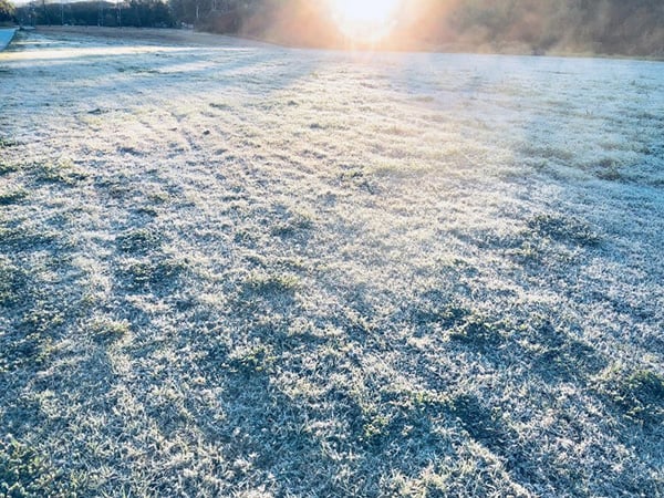 Widespread frost occurred across inland Queensland this morning as temperatures dropped below zero (Credit: Ken Kato)