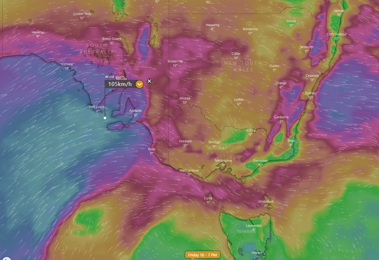 Image 2: ECMWF Wind gust forecast for Friday 16th July, 2021 (Source: Windy.com)