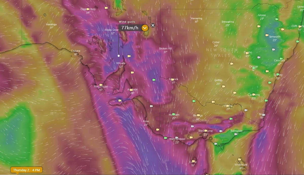 Image 3: Forecast wind gust at 4pm EST over parts of southeast Australia (Source: Windy.com)