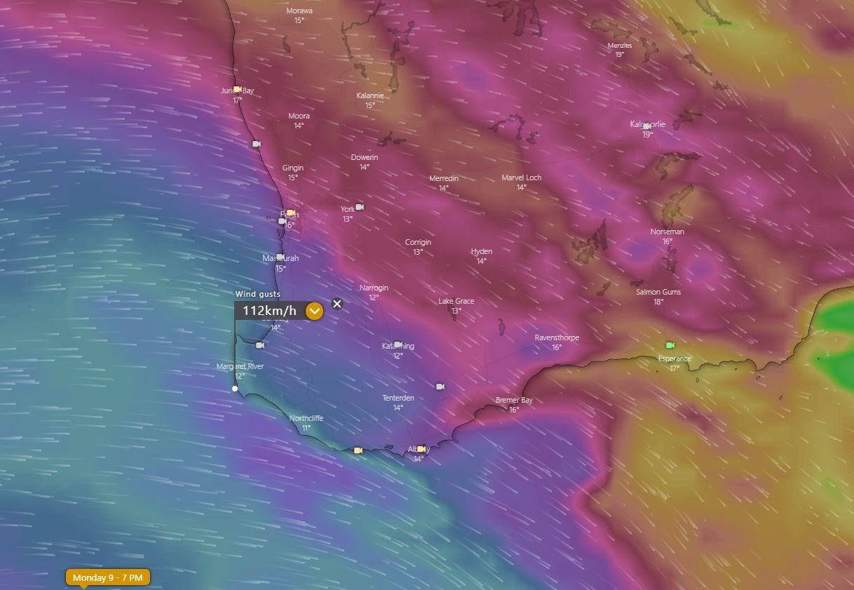 Image 1: Forecast wind gusts from the ECMWF Model for Monday evening (Source: Windy.com)