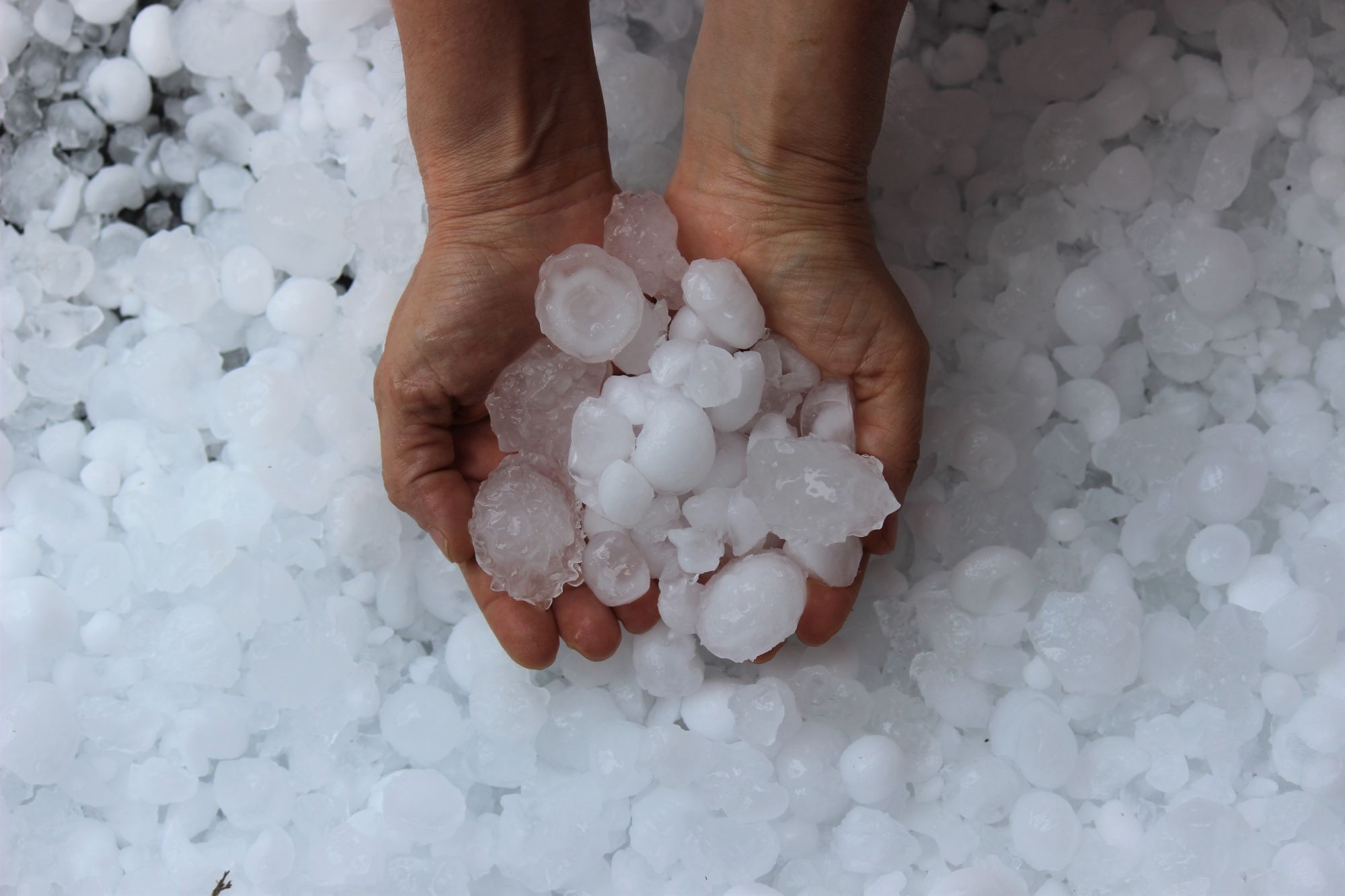 EWN HailAWARE forecasts make getting ahead of hail easy